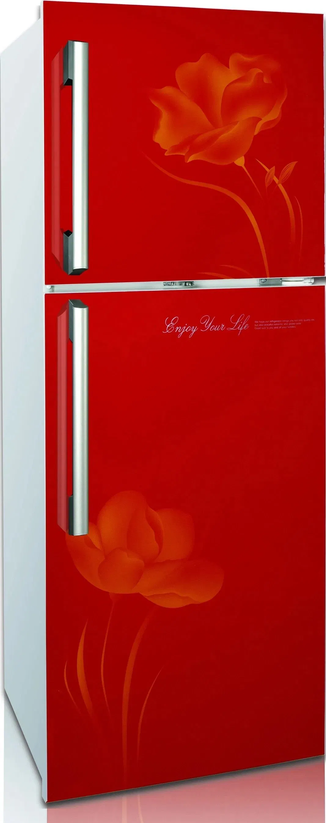 Functional Two-Door Fridge with Stylish Design for Kitchens Dounle Door Refrigerator