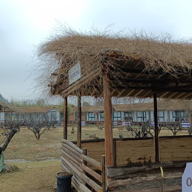 Round Bamboo Poles Bamboo Canes and Bamboo Sticks for Constructions and Decoration