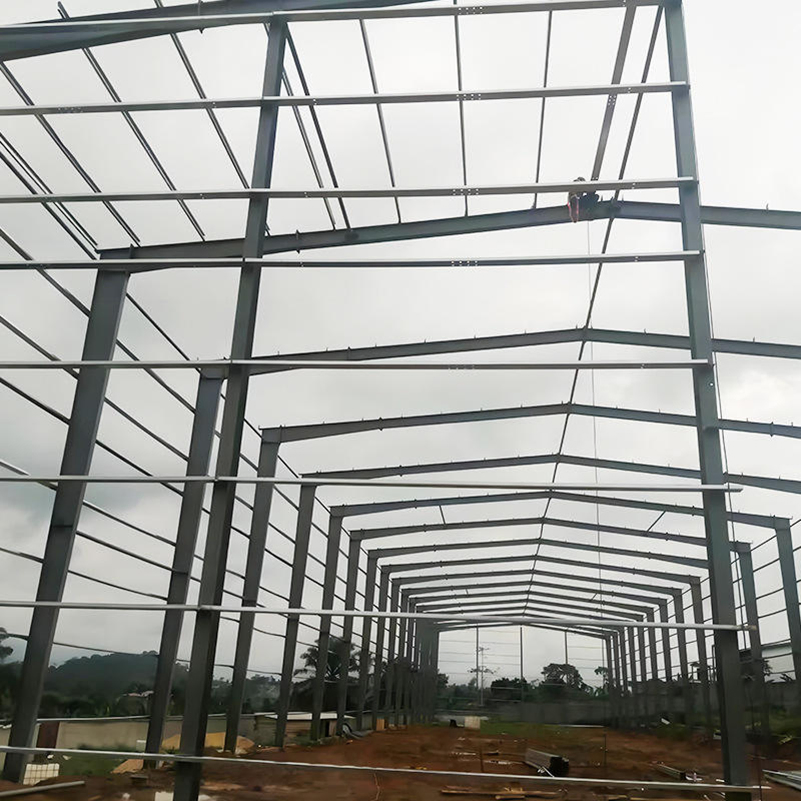 New Materials Wholesale at Low Prices Most Popular Hot Selling High Quality Section Steel Structure Frame for Durable for 50 Years Metal Building