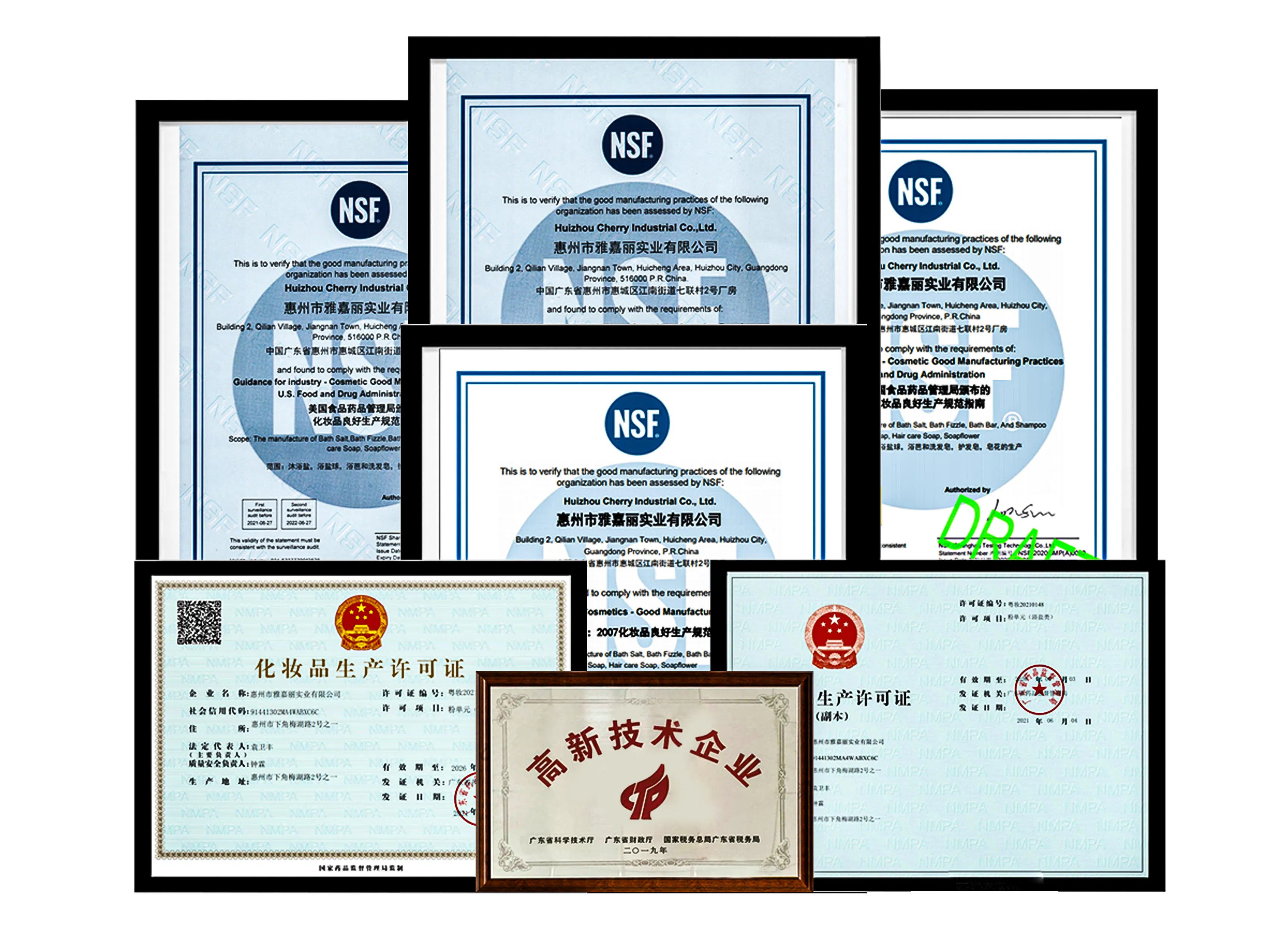 OEM Customization Camphor Mint Eucalyptus Natural Essential Oils Creative Aromatherapy Shower Steamers