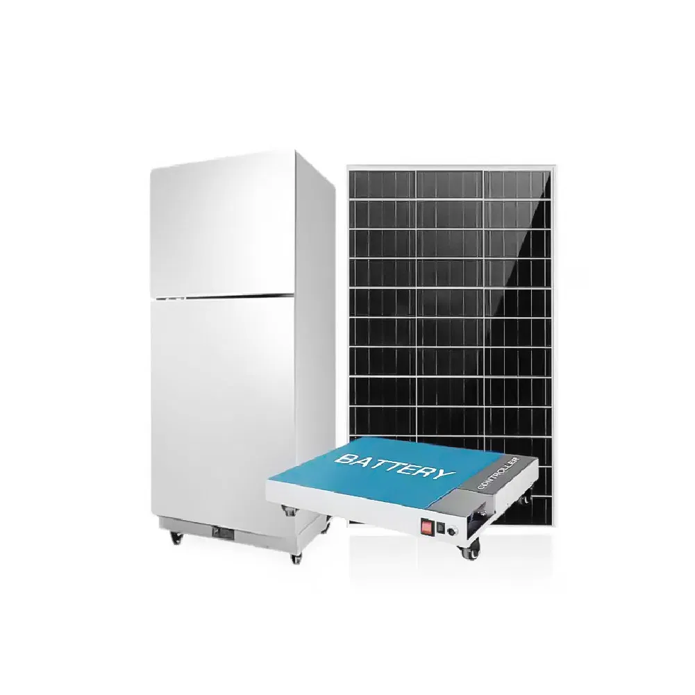 Commercial Mini Refrigeration Equipment Solar Home Compact Fridge Freezer 12V DC Car Double Door Refrigerator
