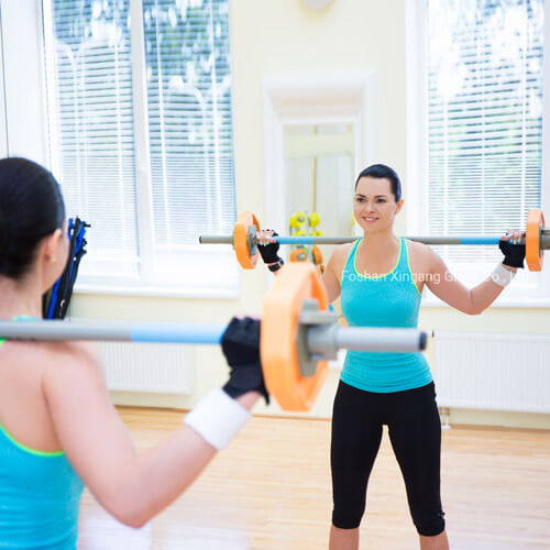 Gym Wall Mirror Custom Mirrors Dance Studio Mirrors Glass Mirrors