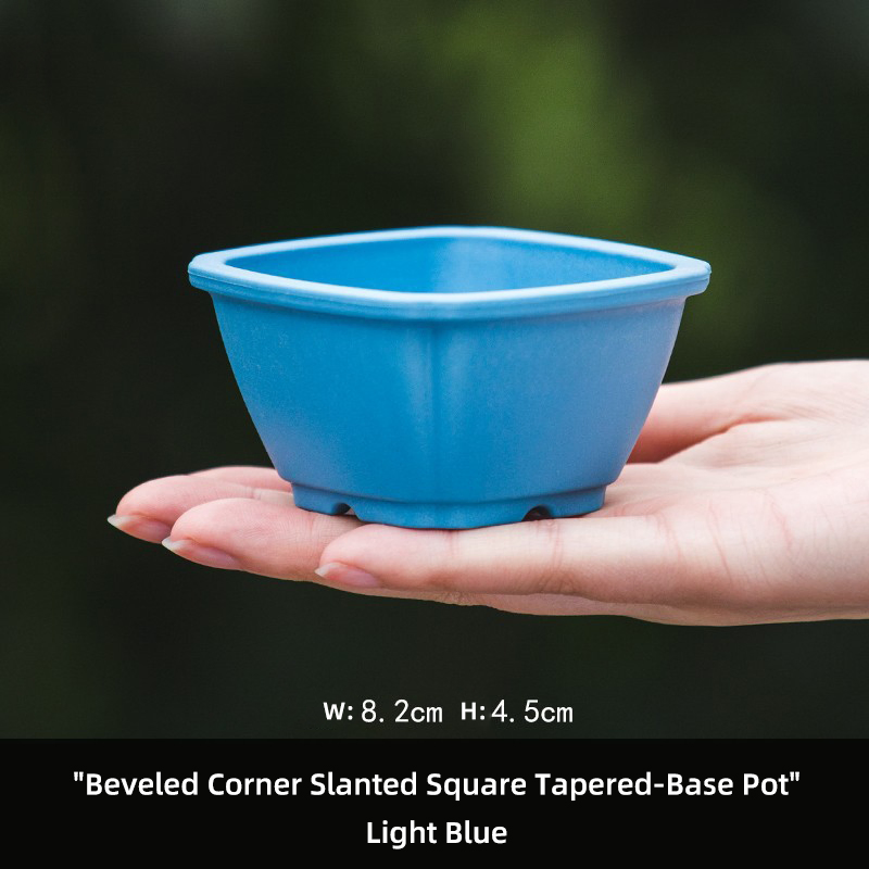 Creative Succulent Flower Pot for Succulent Plants and Calamus Small Bonsai