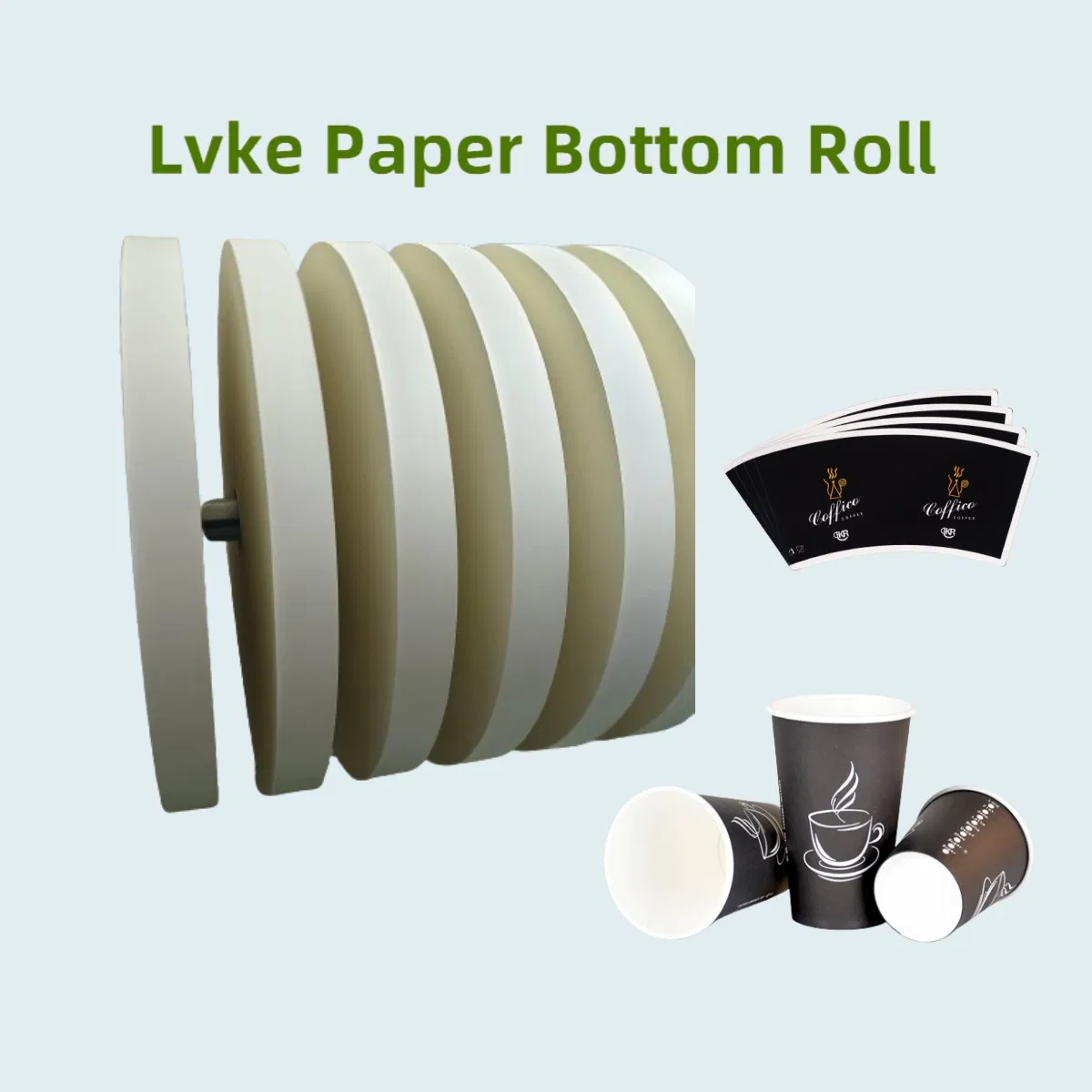 Paper Cup Bottom Hight Quality Raw Materials for Paper Cup