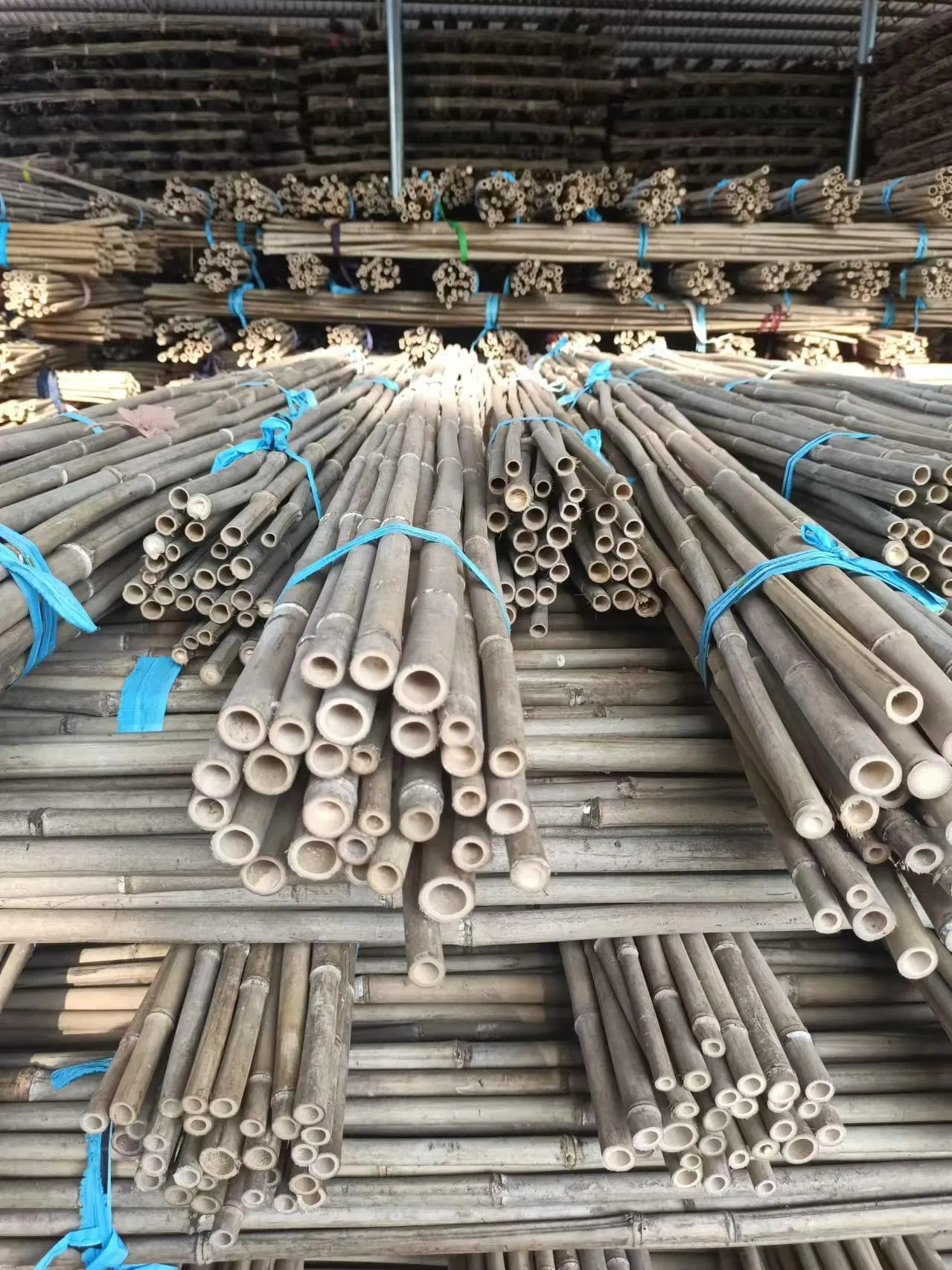 Factory Hot Sale Natural Bamboo Raw Materials Bamboo Pole Stakes for Horticulture Plantation Support