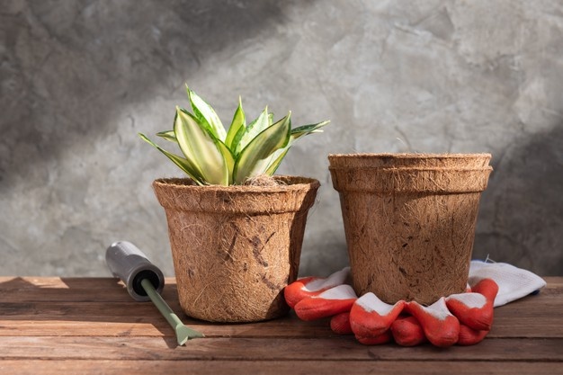 Горшок для растений кокосовый биоразлагаемый