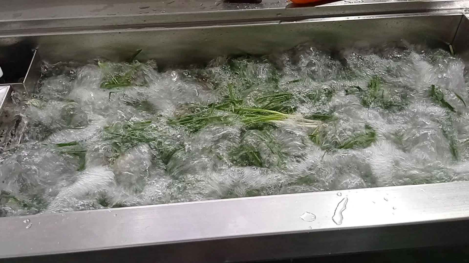 Commercial Vegetable Washing Machine Vegetable Washer for Hotel Restaurant Canteen
