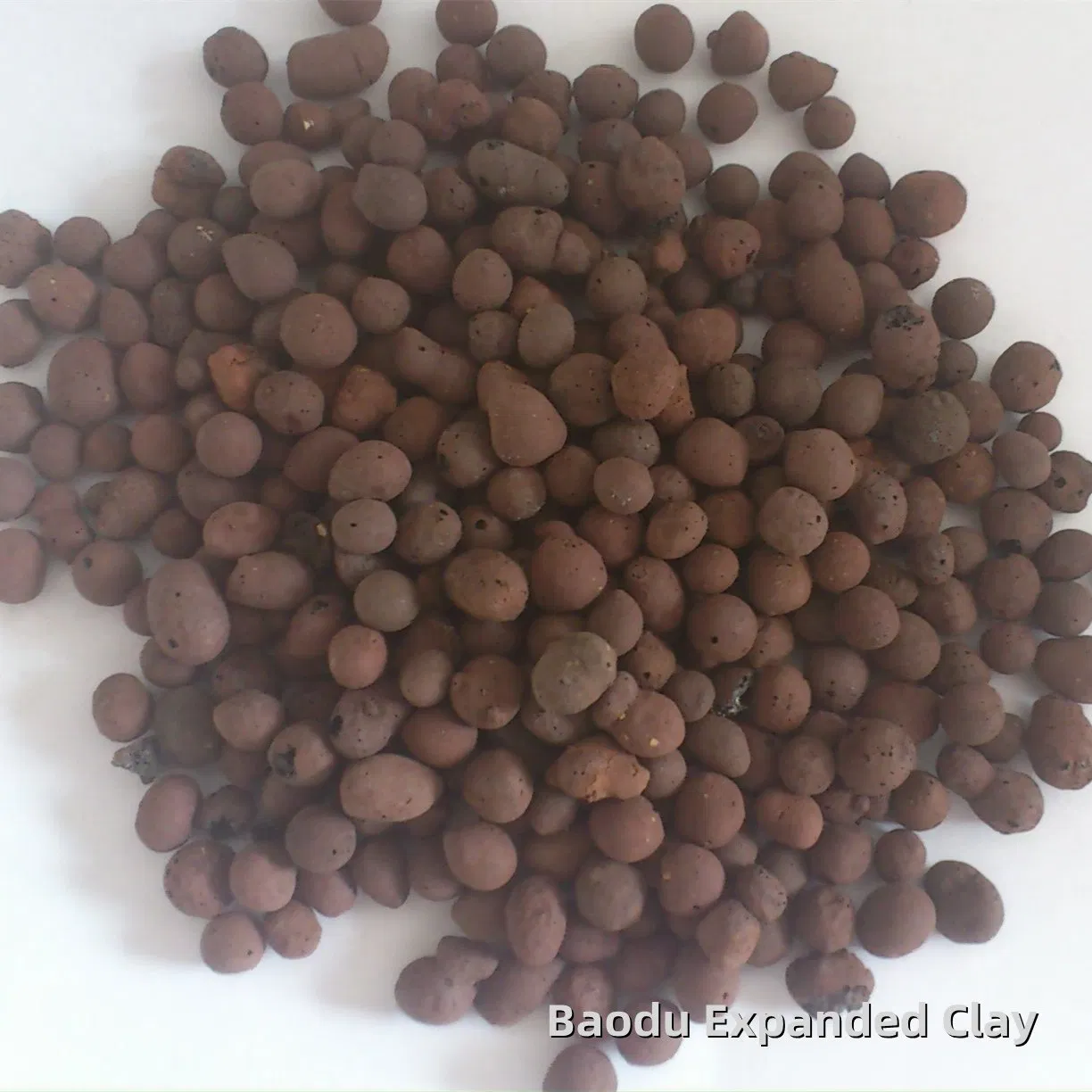 Expanded Clay Dor Seeding for Hydroponic