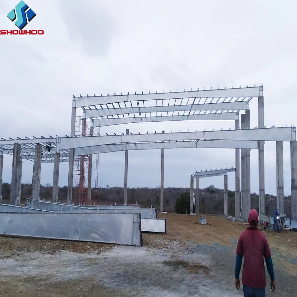 Large Span Steel Structure Warehouse, Light Weight Structural Steel Warehouse