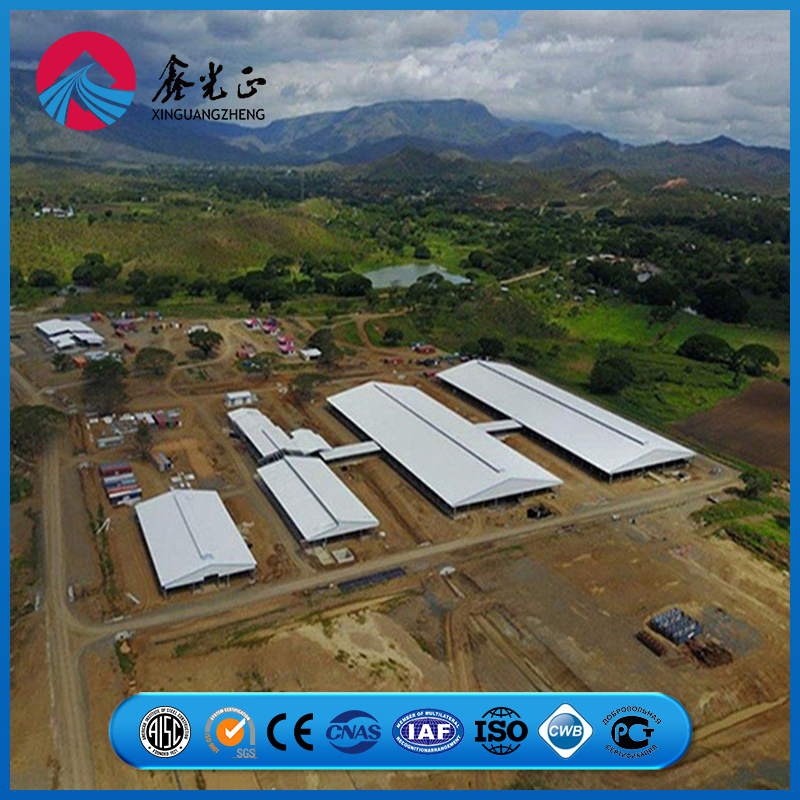 Reinforced Steel Column Support System Chicken Prefab Metal Farming Equipment Steel Structure Sheep/Goat/Pig/Hog/Cattle/Cow/Poultry House/Shed