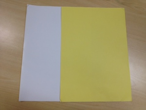 Adhesive Sticker Paper with Gsf Brand for Printing Label