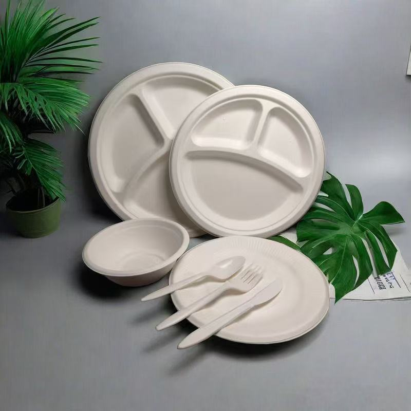 High Quality Biodegradable Disposable 9 Inch Sugarcane Plates for Restaurants Free Sample Paper Dishes with Lid Accessory