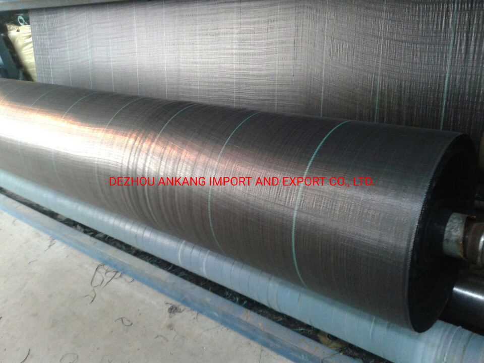 Agricultural Black Plastic Ground Cover PP Weed Geogextile Prevent Weed Geogextile