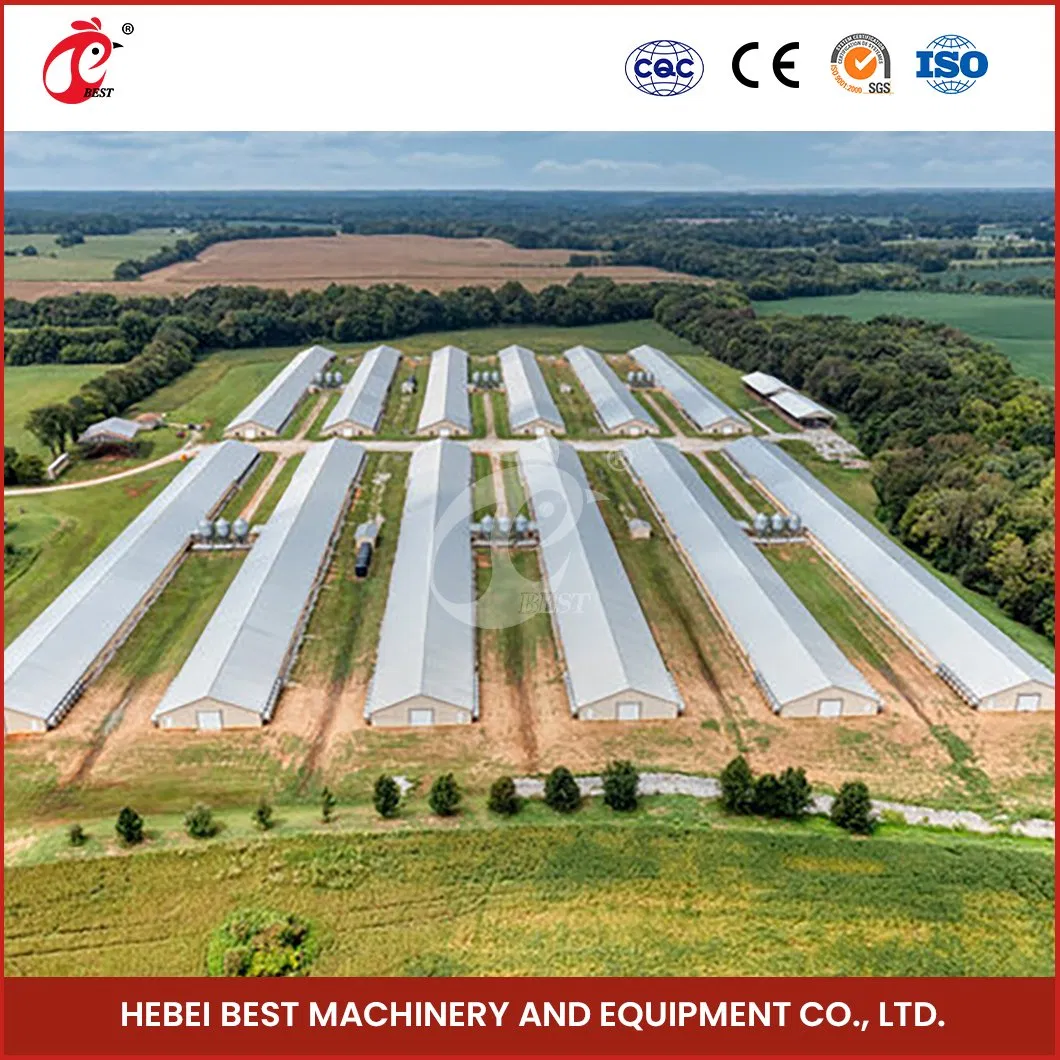 Bestchickencage Steel Poultry House China Prefab Steel Material Poultry House Supplier Custom Multi-Functional Combination Light Steel Structure Poultry House