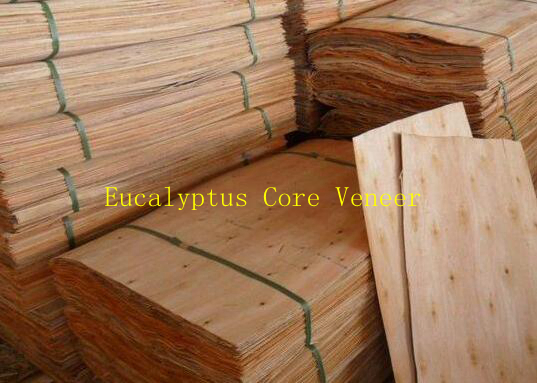 Eucalyptus Core Veneer Board From Uganda for Making Plywood