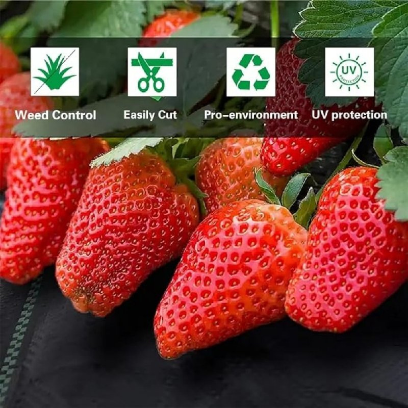 All-Weather Versatile Natural Weed-Resistant Plantation Ground Weedmat