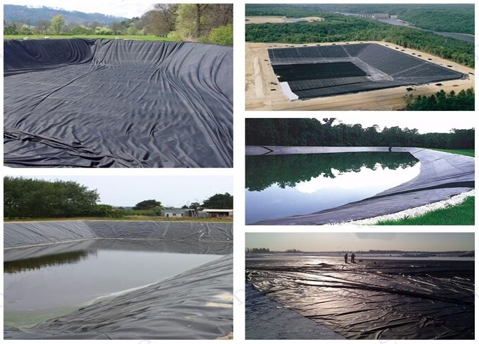 Impact-Resistant Geomembrane with Black, White, Blue, Green & Customizable Building Material