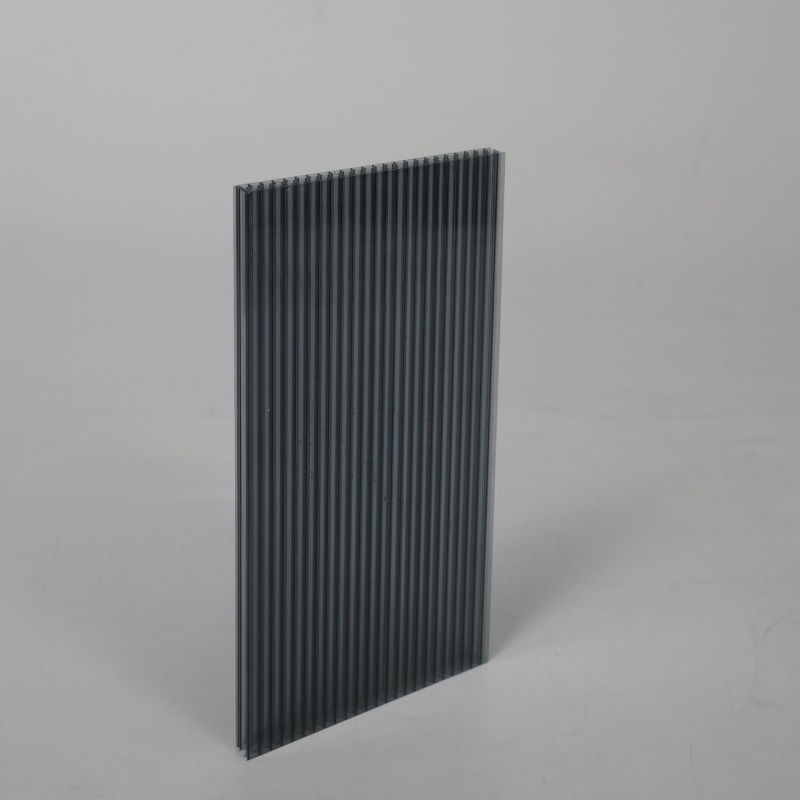 Style UV Protected Twin Wall Roofing Sheet Sun Embossed PC Sheets