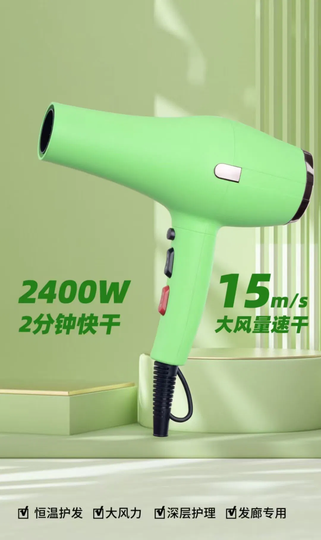 Professional 2400W High-Power Hairdressing Salon Hairdryer
