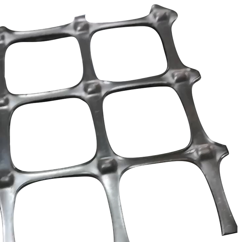Uniaxial Geogrid PP for Building High Way or Railway