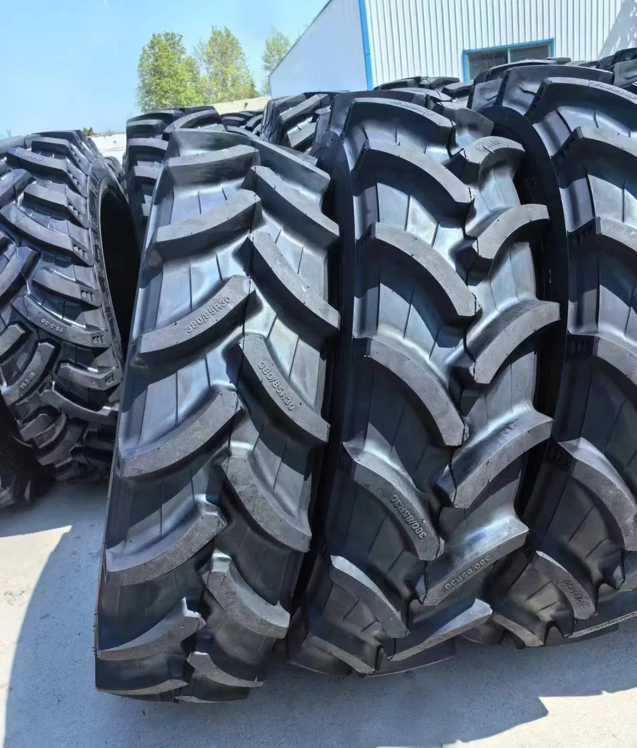 Радиальные сельскохозяйственные шины R1W