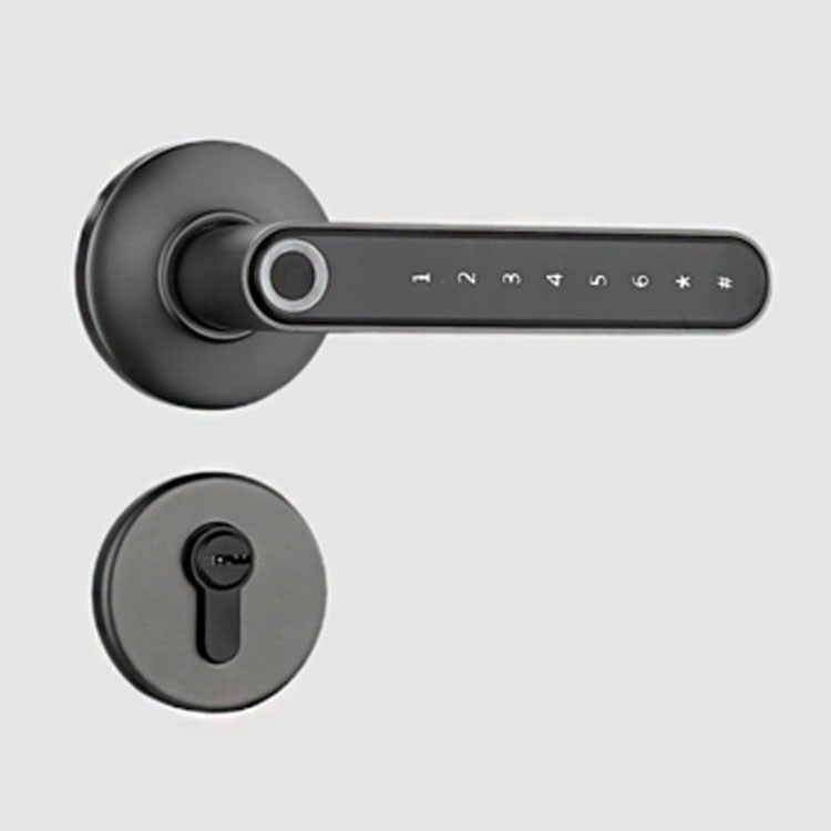 Fingerprint Password Electric Digital Lock Zinc Alloy Keyless Security Door Handle
