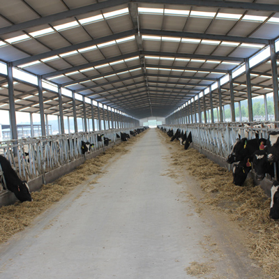 Light Steel Structure Domestic Animal House Prefabricated Poultry House Shed