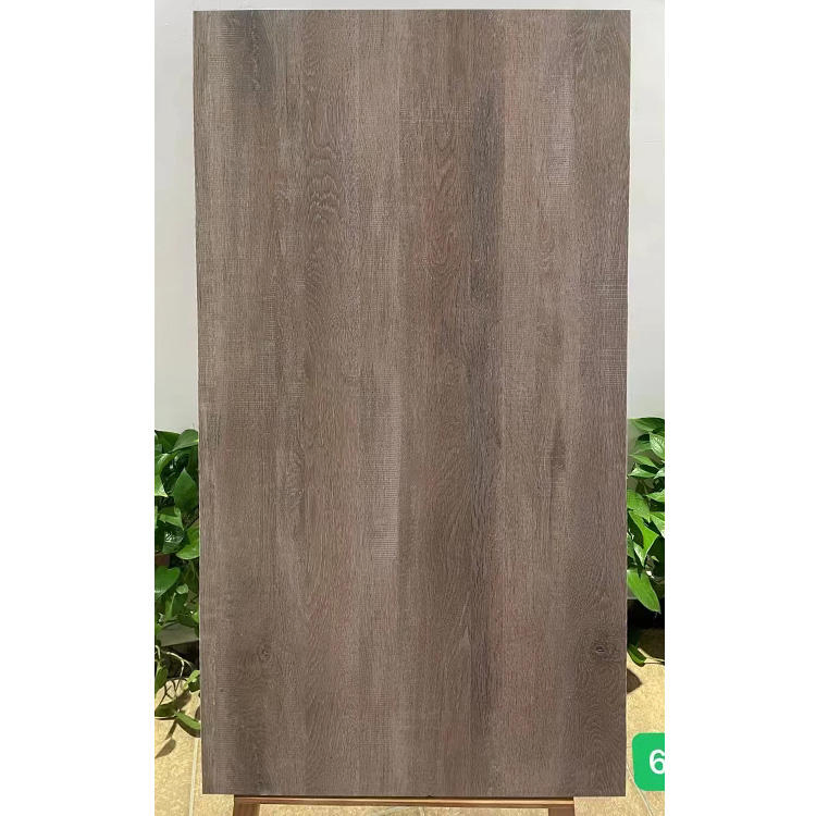 Anti-Slip Tile Garden Outdoor Matte 60X120 Wood Looking Porcelain Floor Tiles