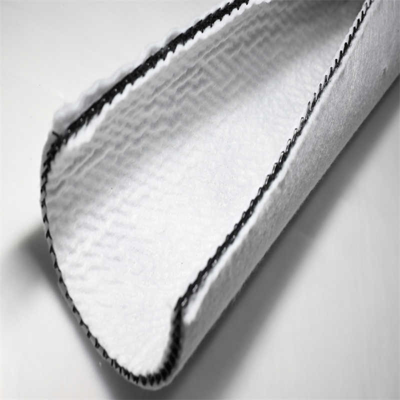 Geocomposite Drainage Pedal 16mm 20mm 45mm Waterproofing Drainage Board