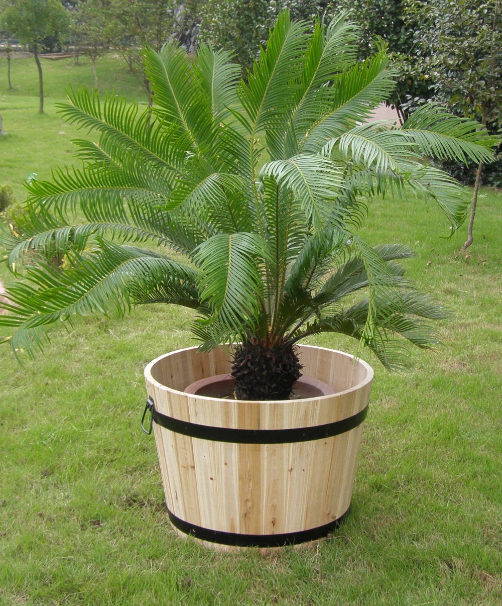 Горшки цветочные декоративные комнатные садовые