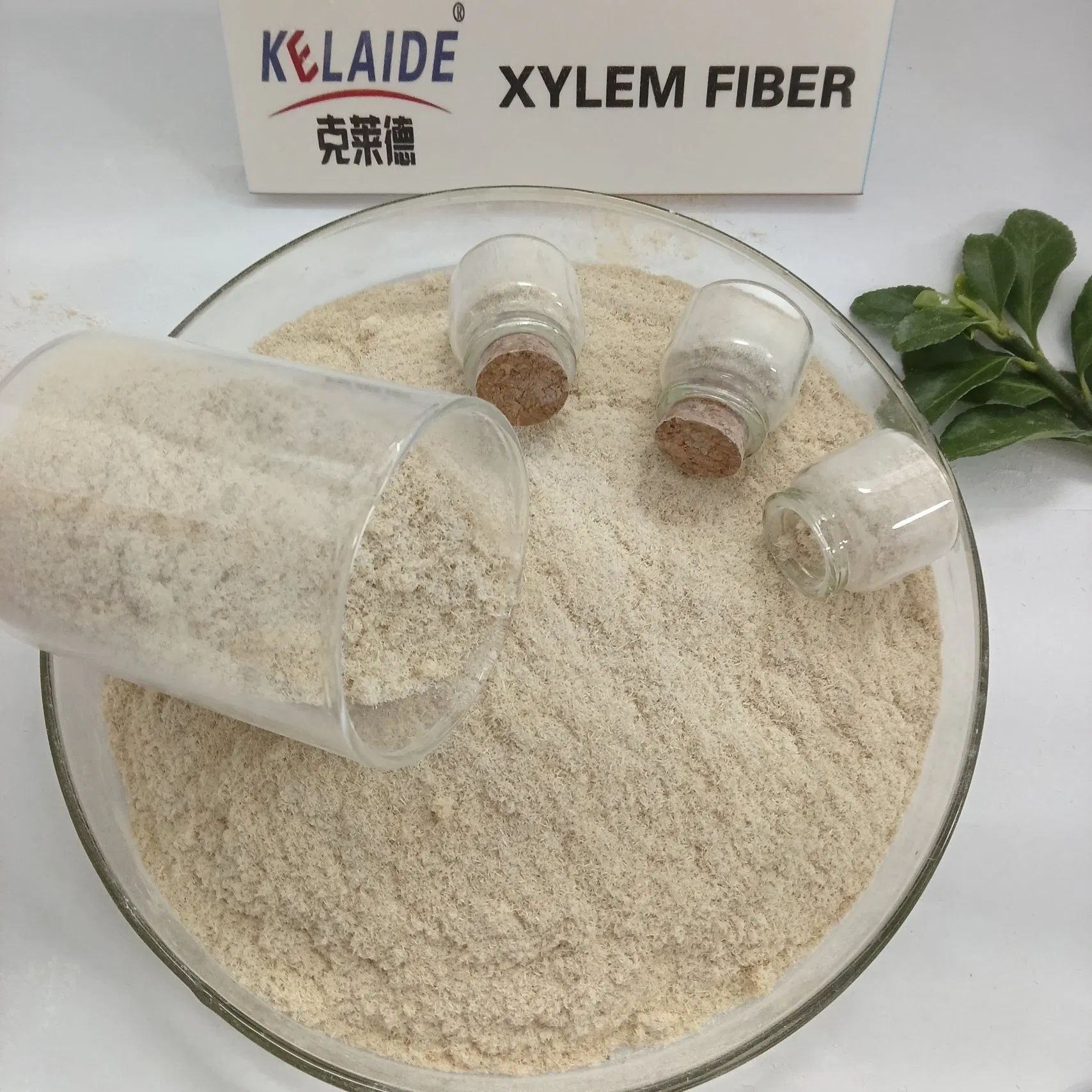 Wood Fiber Cellulose Xylem Fiber for Cement Mortar