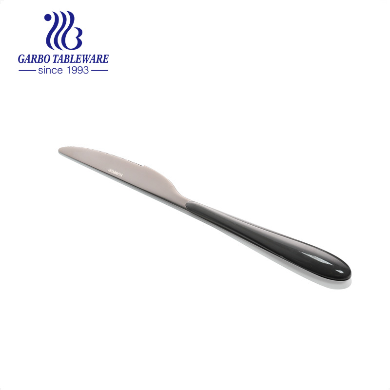 Factory High Quality 430 Cheap Stainless Steel Dinnerware Knife with Plastic Handle