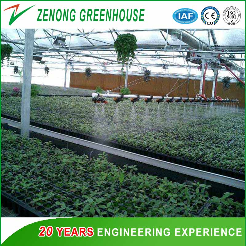 Self-Propelled Sprinkler with Three-Position Head for Greenhouse Irrigation System/Greenhouse Facility