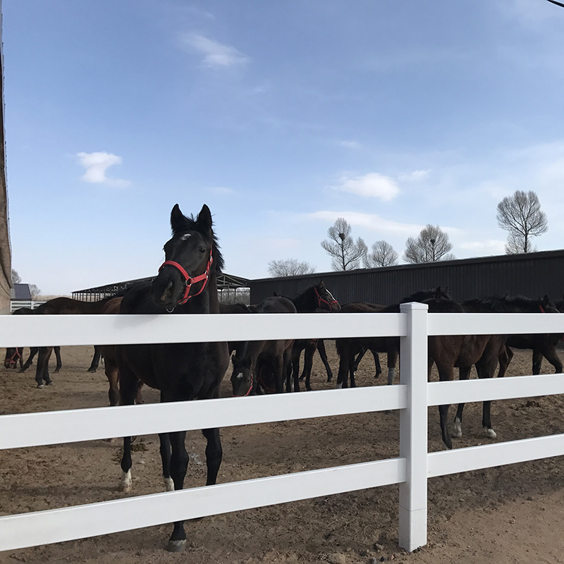 Vinyl Ranch Fence, PVC Post and Rail Horse Fence, Horse Fence