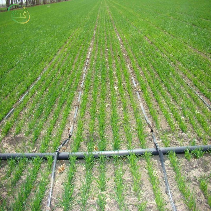 Chinese Greenhouse Agriculture Drip Irrigation for Sale Greenhouse Micro Drip Irrigation System Price