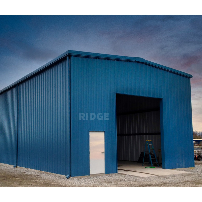 Low Price Steel Large Space Frame Construction Building Structure for 50 Years