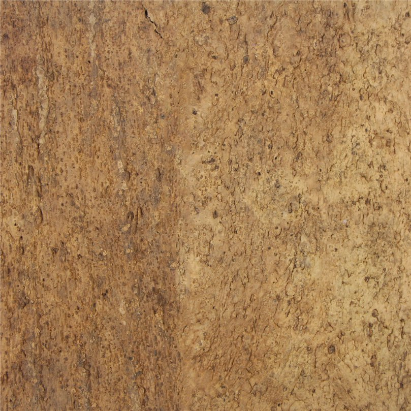 2021 Eco-Friendly Decorative Thick Cork Board for Interior Wall Tiles