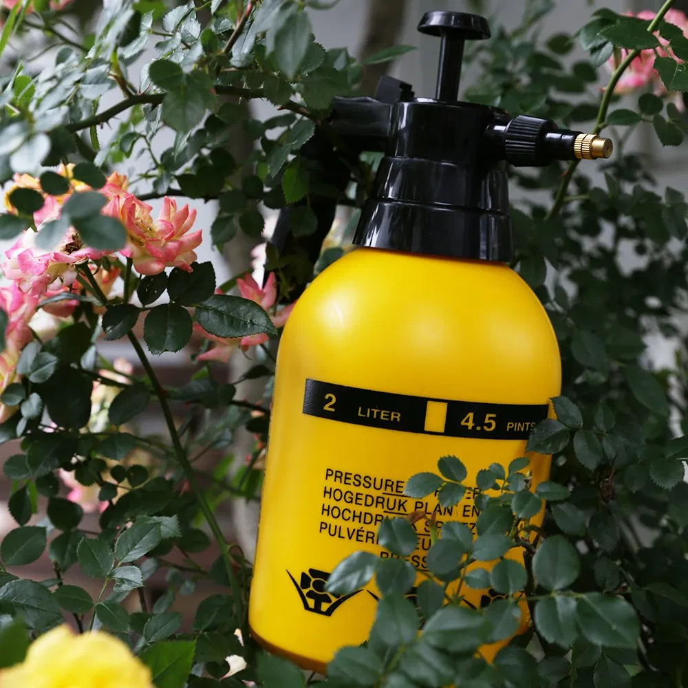 Rainmaker Customized 2 Liter Garden Plastic Mini Manual Pneumatic Sprayer