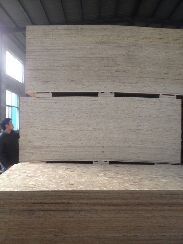 OSB (oriented strand board) From Factory in 9mm 12mm 15mm 18mm