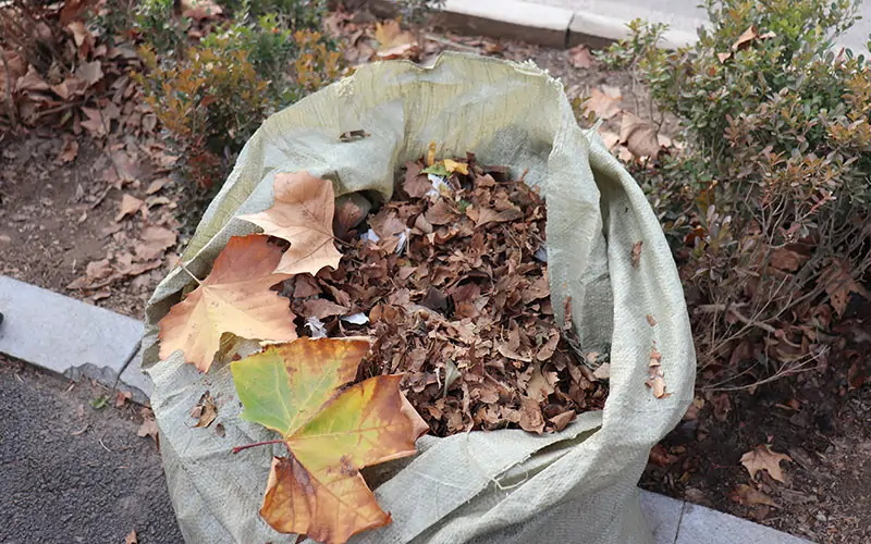 Electric Driving Leaf Collection Vehicle BY-T5