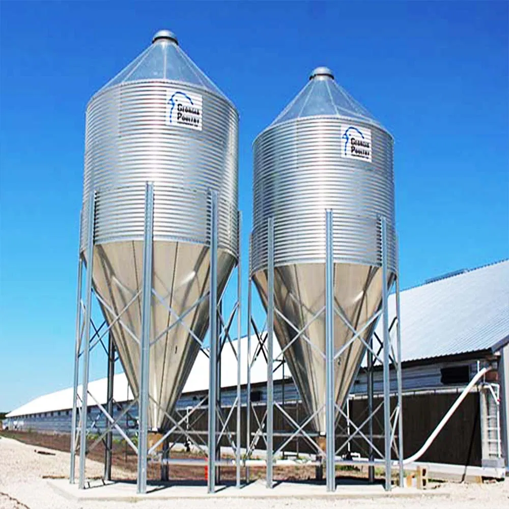 Galvanized Poultry Steel Frame Structure Chicken Farm House