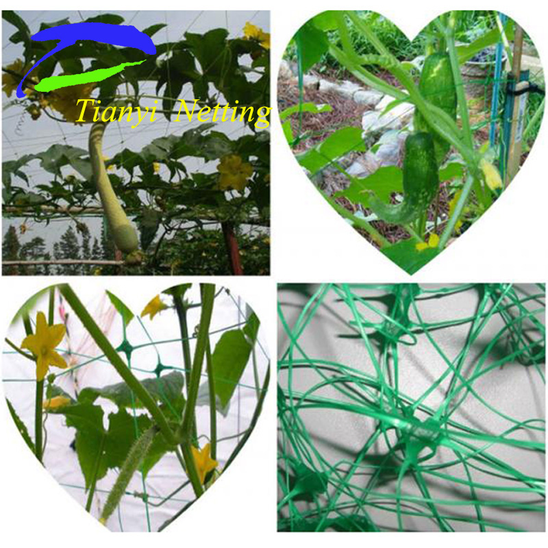 Planting Net/Plant Support Net, to Support Crops as Peas, Beans etc.