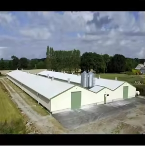 Quick Installation Supply Free Design Prefabricated Steel Structure Chicken Coop