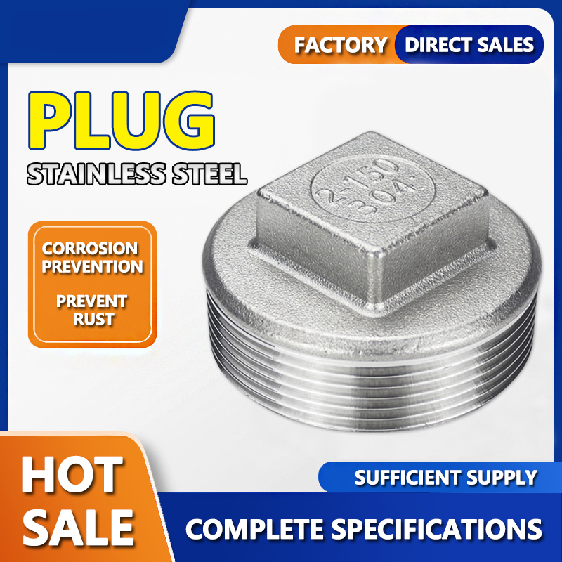 Stainless Steel Pipe Fittings 304 Thread 1'' Plug for Water Oil Gas