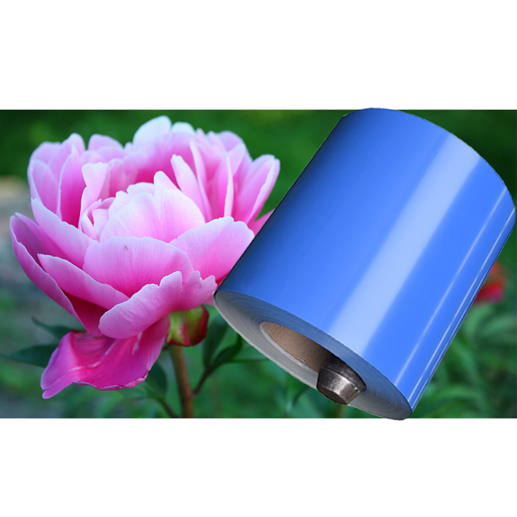 PPGI Coil Manufacturer, Gi/Gl Substrate, Custom Color and Thickness