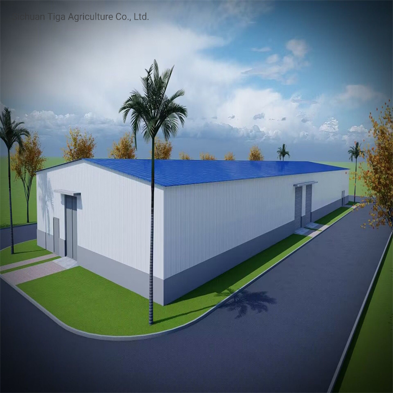 EPC Customized High Strength and Seismic Resistance Fast Installation Prefabricated Modular Steel Structure Shed Warehouse
