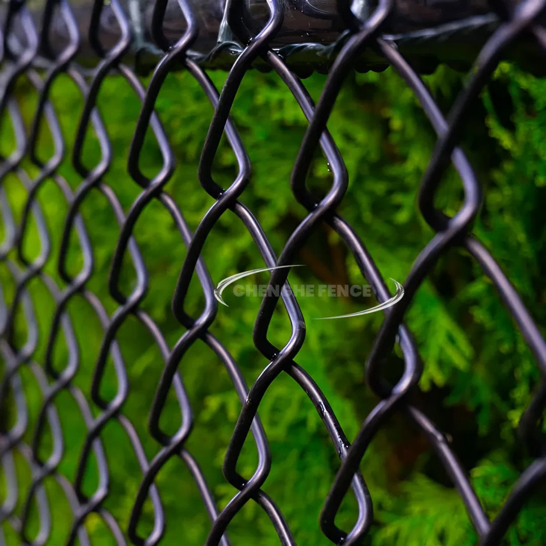 PVC Coated Galvanized Chain Link Wire Mesh Fence Cost Price Hexagonal Hole Chain Link Fencing Mesh Metal Wire Fencing Galvanized Hot Dipped Black Fence