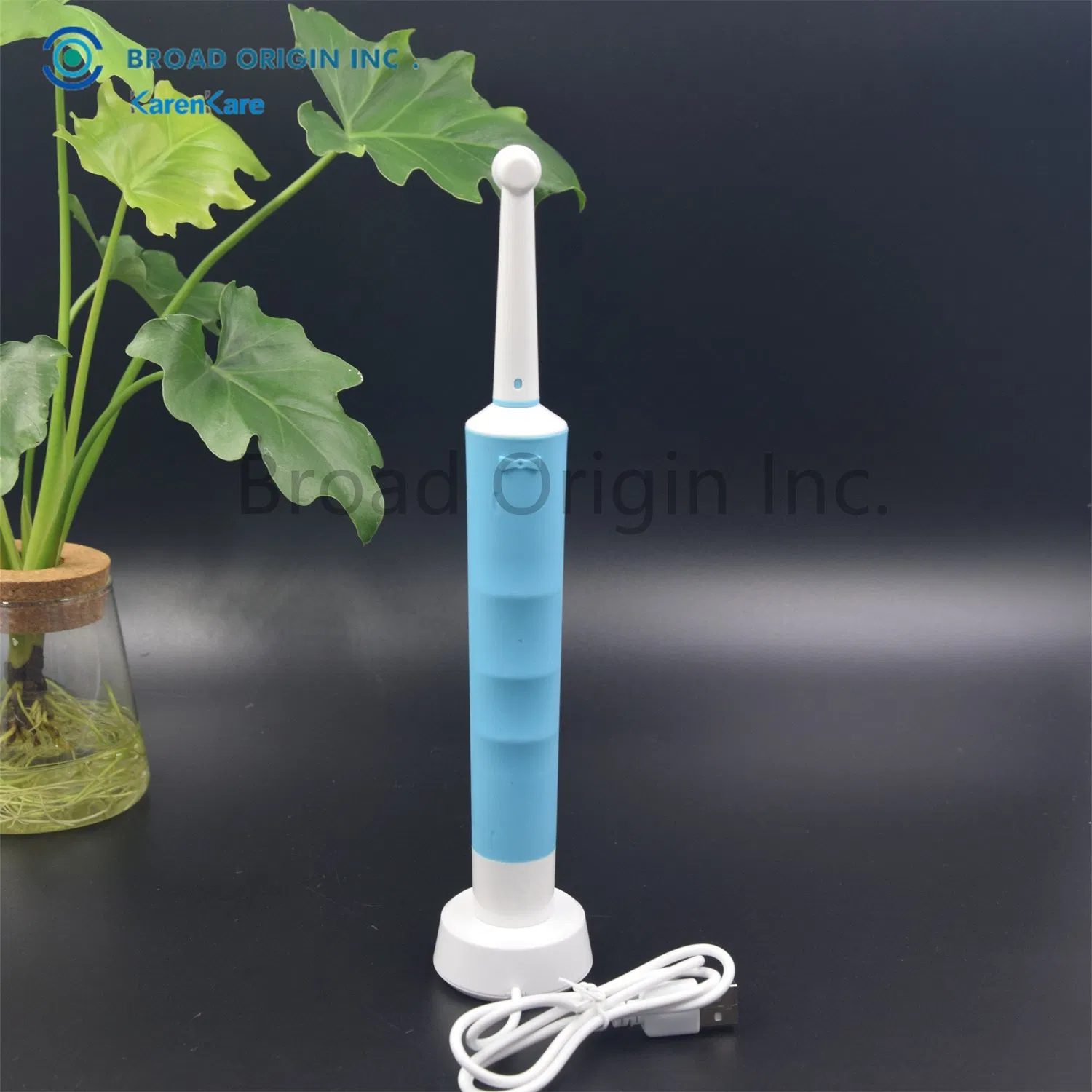 BSCI Approved Personalized Electric Toothbrush with 2PCS Toothbrush Head Electric Toothbrush Motor Electric