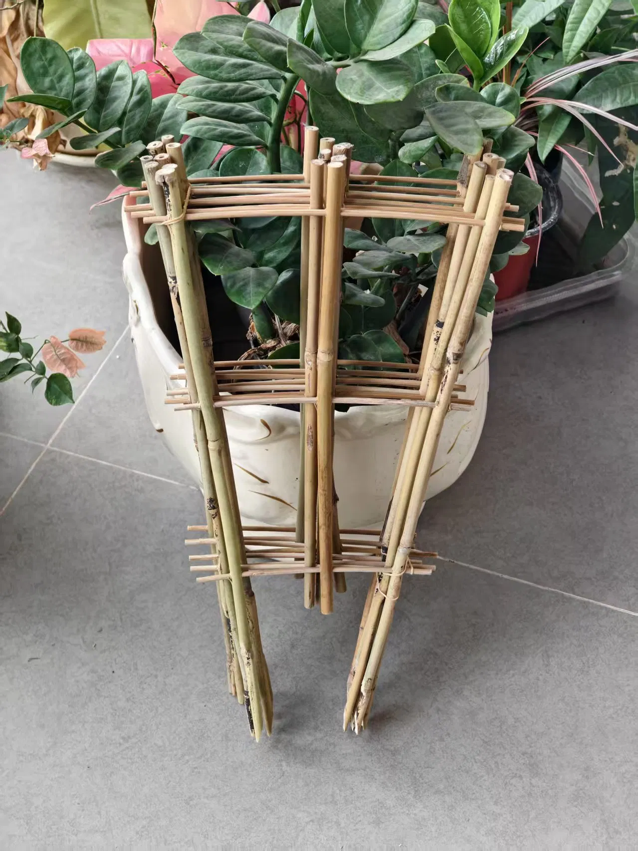 Bamboo Trellis U Bamboo Trellis Fan Trellis for Flowers Support and Growing