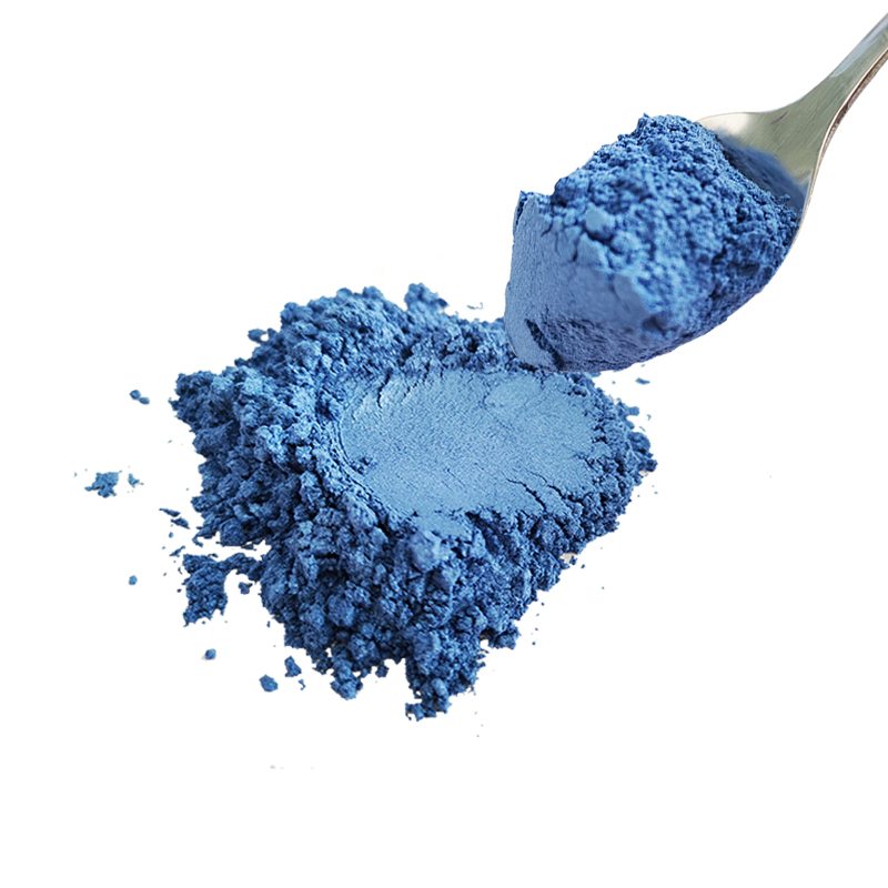 Professional Glitter Eyeshadow Powder Makeup Shiny Loose Mica Pigment Powder